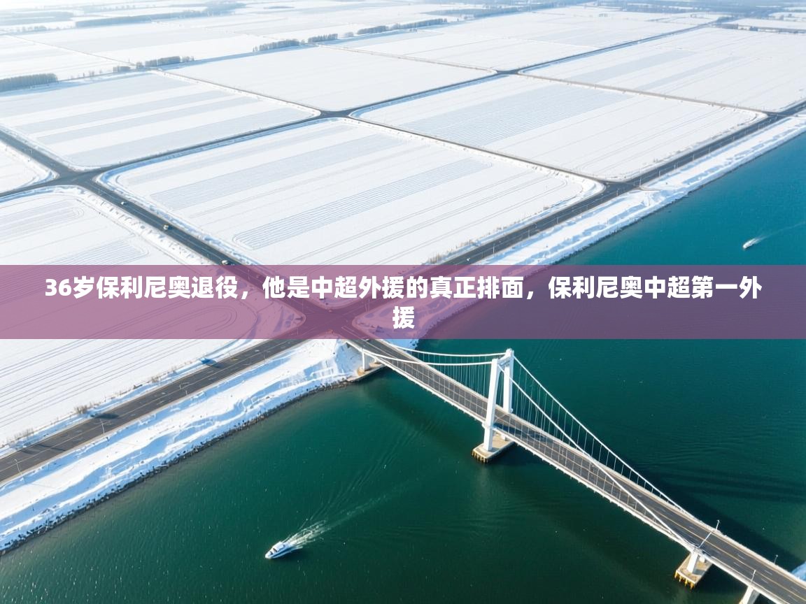 36岁保利尼奥退役,他是中超外援的真正排面,保利尼奥中超第一外援 第1张