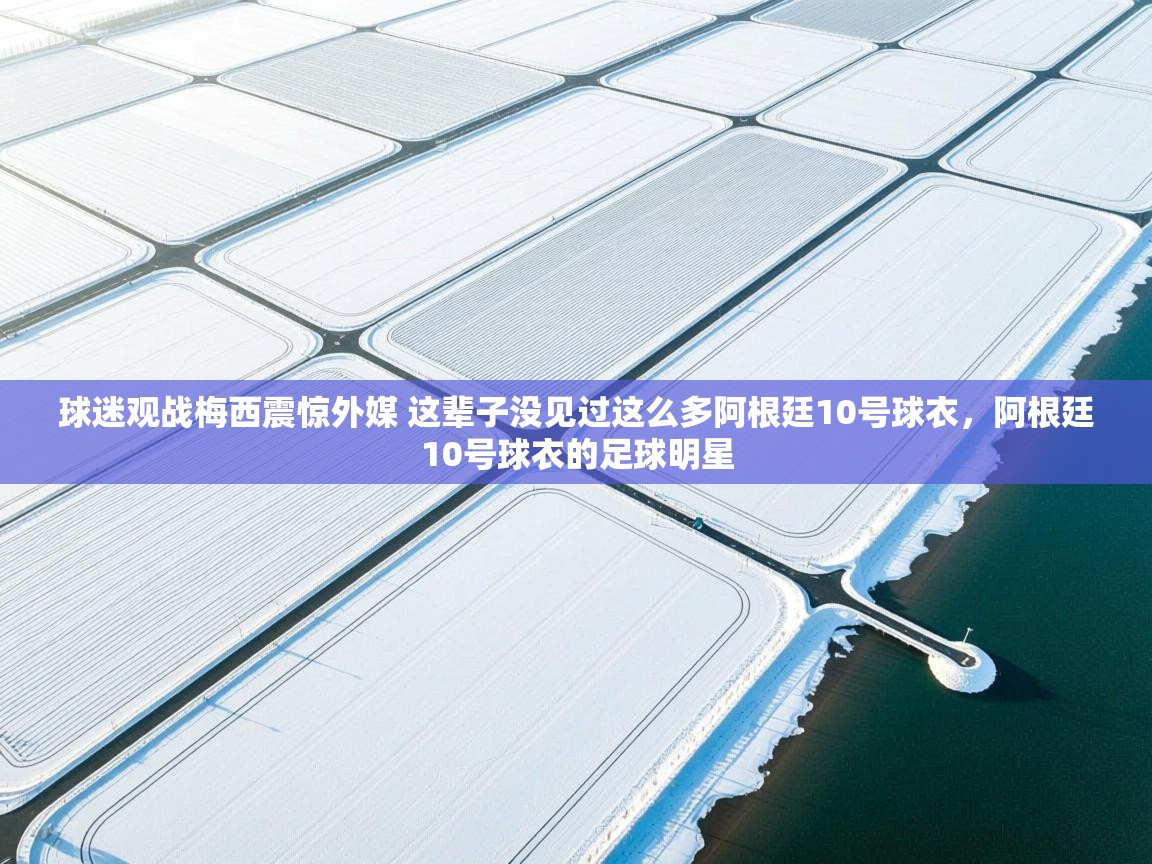 球迷观战梅西震惊外媒 这辈子没见过这么多阿根廷10号球衣,阿根廷10号球衣的足球明星 第2张