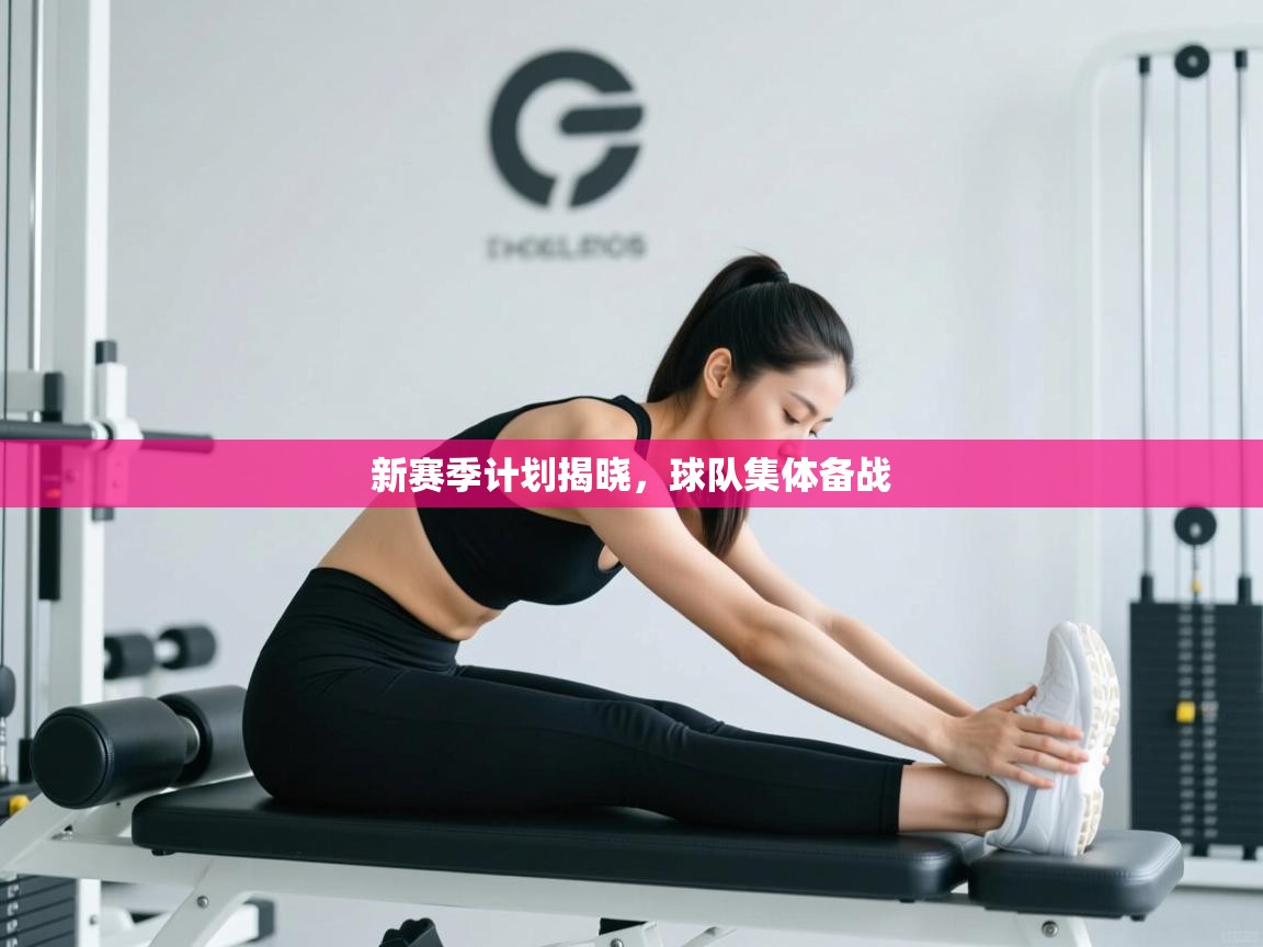 新赛季计划揭晓，球队集体备战  第1张