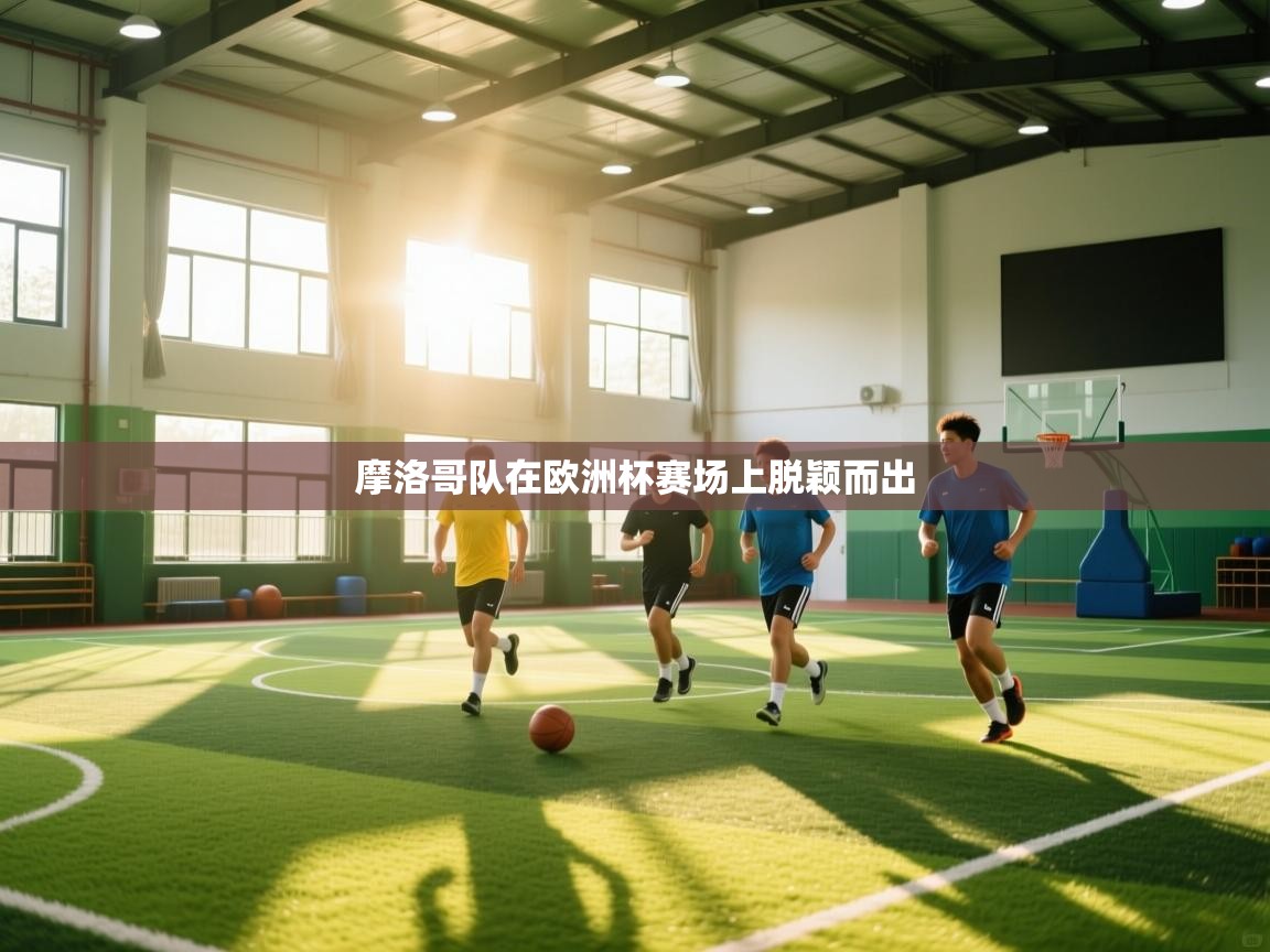 摩洛哥队在欧洲杯赛场上脱颖而出  第1张