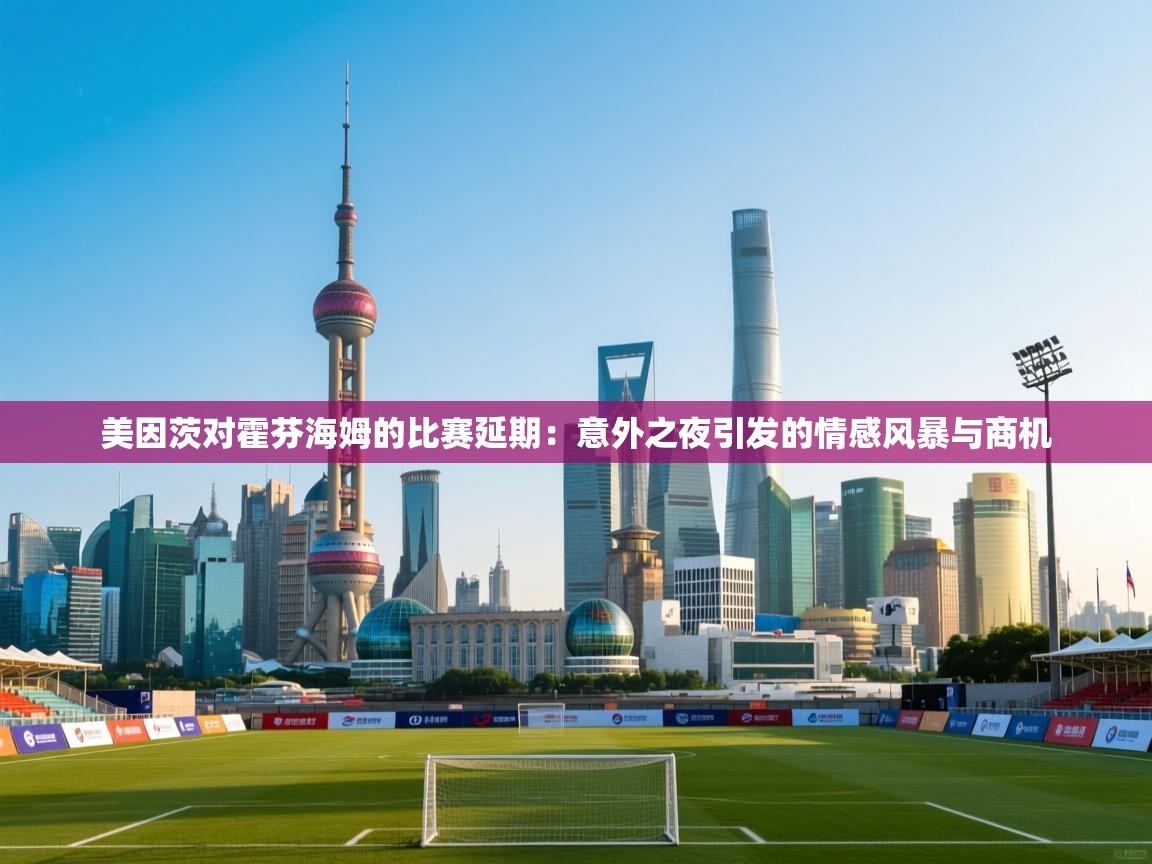 美因茨对霍芬海姆的比赛延期：意外之夜引发的情感风暴与商机  第2张