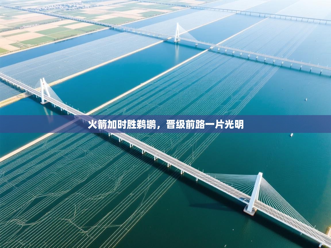 火箭加时胜鹈鹕，晋级前路一片光明  第1张